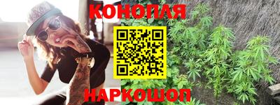 прущий лед Будённовск