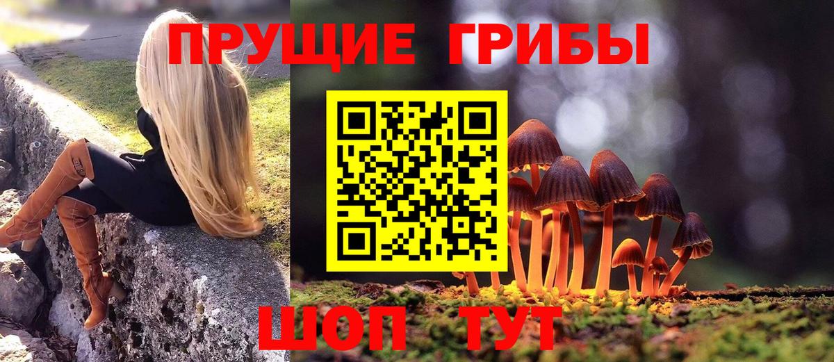 Галлюциногенные грибы Cubensis Нарткала